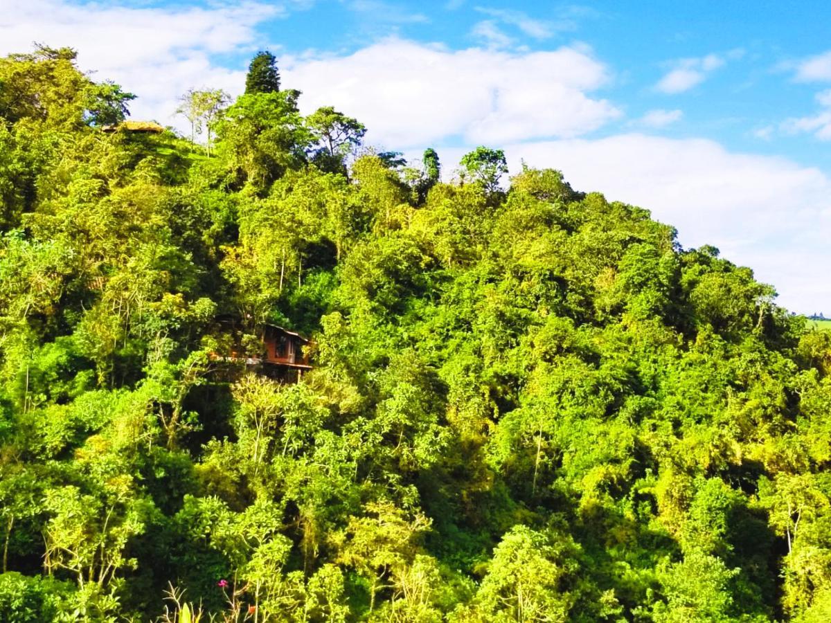 Calacali Finca Petrona المظهر الخارجي الصورة
