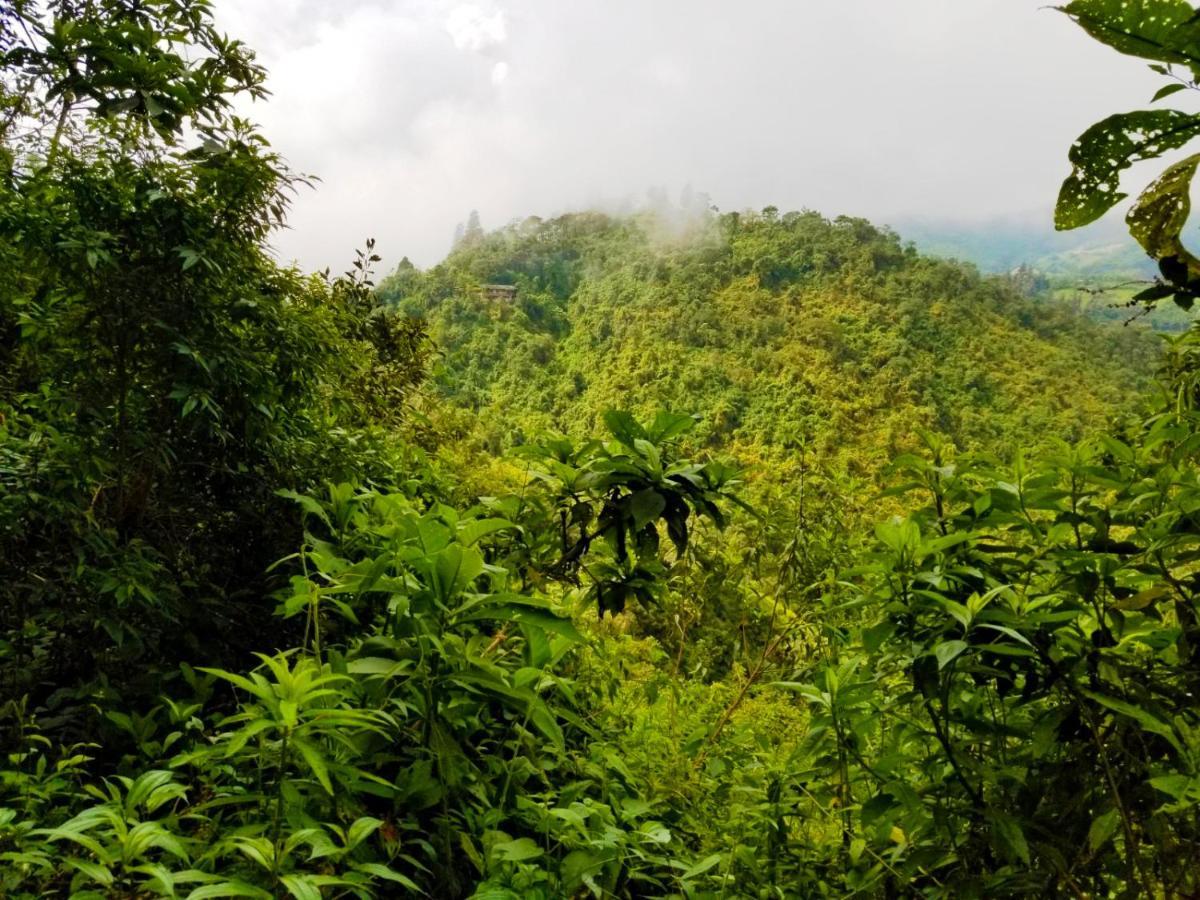 Calacali Finca Petrona المظهر الخارجي الصورة