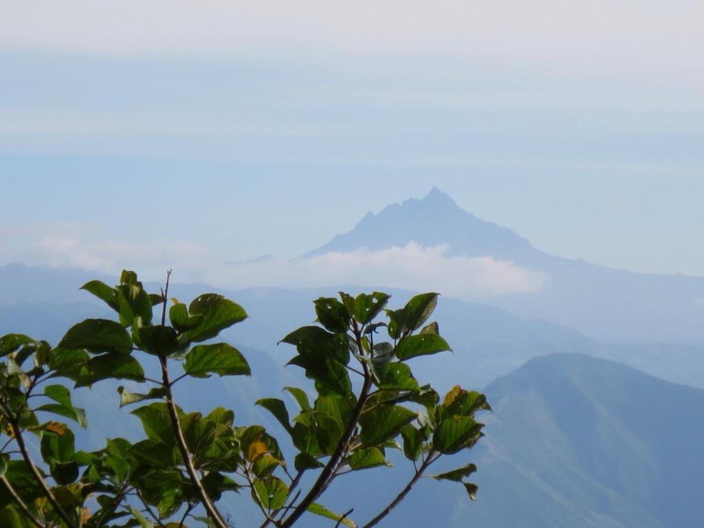 Calacali Finca Petrona المظهر الخارجي الصورة
